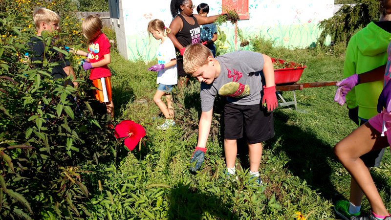 Outdoor Learning