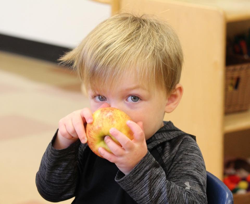 Nutrition in Child Development